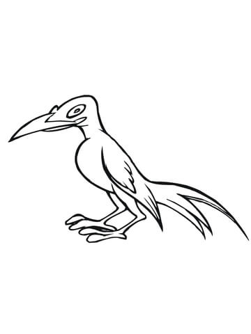 Caricature Magpie Bird Coloring Page